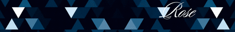 Banner da categoria Rose Nascimento