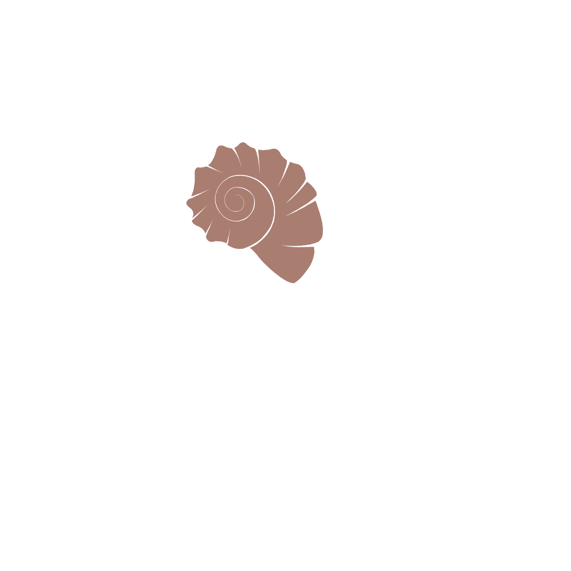 mah moda praia