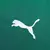 palmeiras-porco-verde-puma-25/26-2025-home-I-nova-palmeira-sportingbet