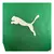 jogador-player-home-I-2025-25/26-camisa-masculina-puma-palmeiras-verde-sportingbet