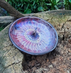 Banner de la categoría Portaespirales