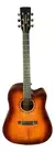 VIOLAO WALDMAN DCEX-1141 AMB W/BAG - comprar online