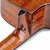 VIOLAO WALDMAN DCEX-1841 N - Hot Music