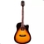 VIOLAO ELETRO-ACUSTICO WALDMAN DCE-141 VS