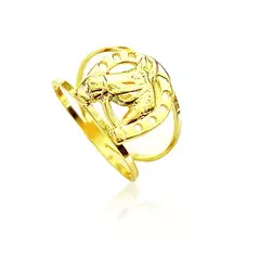Anel Cavalo Ferradura Banhado à Ouro 18k