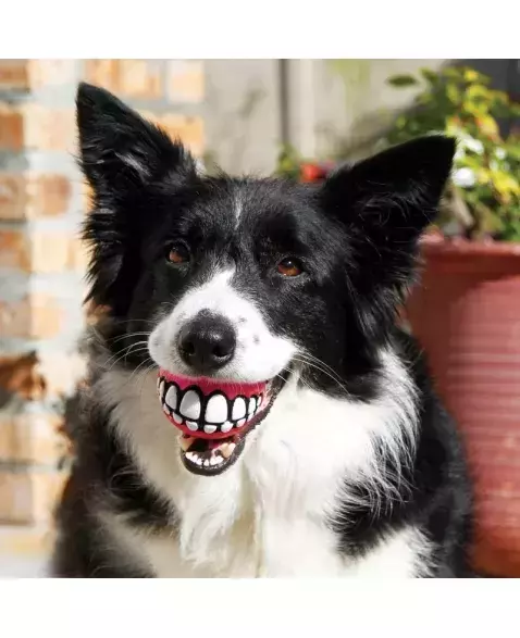 Bola de Sorriso - Kong Grinz Rogz 1un - comprar online