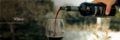 Banner de la categoría Vinos