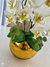 Arranjo de orquídea Bacia Luxo na internet