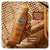 Bronzeador Nivea Sun Intense & Bronze Em Creme FPS 6 - 125ml na internet