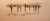 S/Título