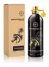 Montale Arabians Tonka