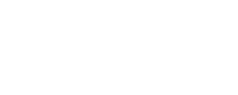 Damix