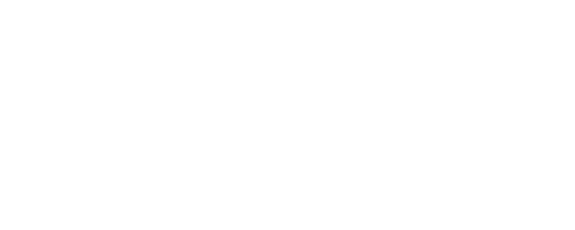 Damix