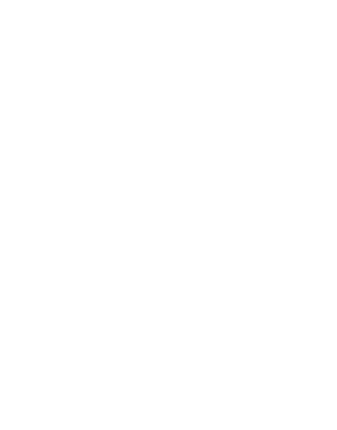 Bag-Stage
