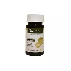 Suplemento alimenticio - Capsulas (300 mg) en internet