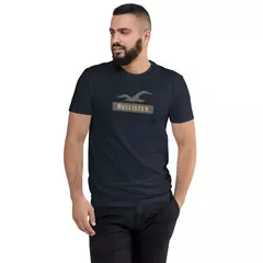 Camiseta Masculina Hollister - loja online