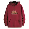 Blusa Moletom Urso Hibernando