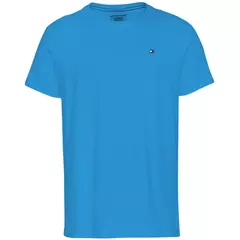 Camisa Tommy Hilfiger Básica Peruana