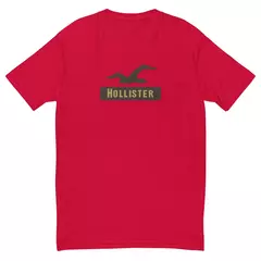 Imagem do Camiseta Masculina Hollister