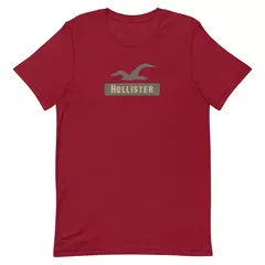 Camiseta Masculina Hollister na internet