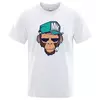 Camisa Smoking Monkey