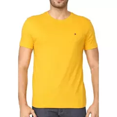 Camisa Tommy Hilfiger Básica Peruana - comprar online