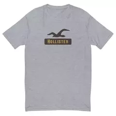 Camiseta Masculina Hollister na internet