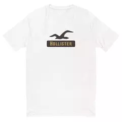 Camiseta Masculina Hollister - loja online