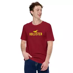 Camiseta Masculina Hollister - loja online