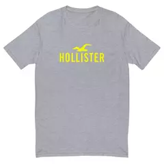 Camiseta Masculina Hollister na internet