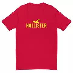 Camiseta Masculina Hollister na internet