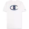 Camisa Champion Iconic Logo