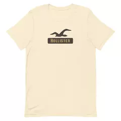 Camiseta Masculina Hollister na internet