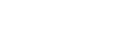 Consultora MENTE