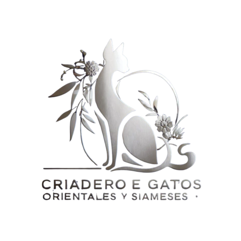 Criadero de gatos Orientales y Diameses