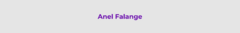 Banner da categoria Anel Falange