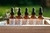 Aceite puro para difusor - comprar online