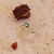 ANILLO AGUA - comprar online