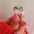 ANILLO PAULO SILVER en internet