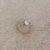 ANILLO PAULA