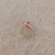 ANILLO DOMINIQUE en internet