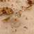 ANILLO FRUTILLA RAINBOW - comprar online