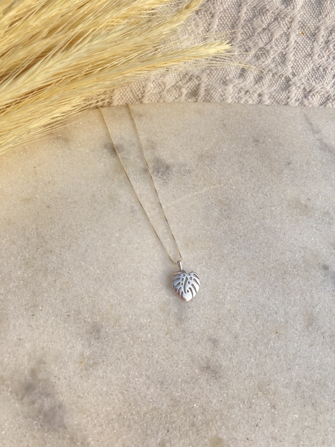 Pingente Costela De Adão