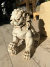 Perro Fú chico 30cm por unidad en internet