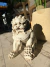 Perro Fú chico 30cm por unidad - LE CONFORT DESIGN