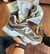 Imagem do Tênis NB Balance 9060