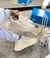 ADIDAS SPORT FEMMY na internet