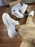 VANS ULTRARANGE NEO PRIME na internet