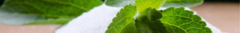 Banner de la categoría Endulzantes