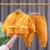 conjunto parka unissex infantil - Baby mel infantil